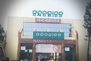 nandankanan