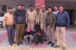 chitta recovered in mandi