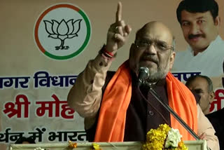 Kejriwal not giving permission to prosecute tukde-tukde gang: Shah