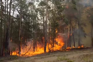 Fire kills 11 youths hunting animals in field in Venezuela