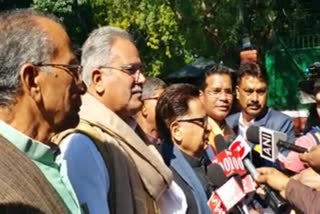 Chhattisgarh govt soon take decision on citizenship law