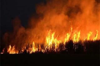 2 and Half an acre of sugarcane burned in flames; Suspected to be ignorant