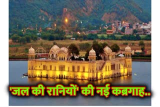 राजस्थान न्यूज, Mansagar lake, Sawai Jai Singh, Rajasthan news