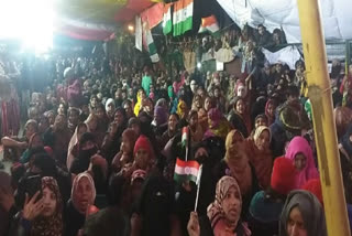 women in shaheen bagh continuously protesting against caa