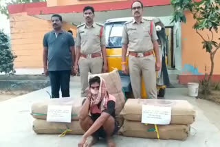 ganja caught by rolugunta police