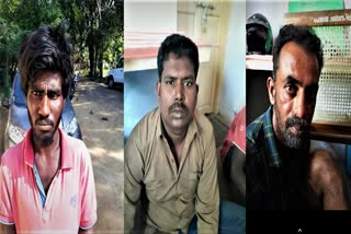 Vellore Women Gang Rapist Arrested By Goondas Act Women Gang Rapist Arrested By Goondas Act Vellore Women Gang Rape Case வேலூர் பெண் கூட்டு பாலியல் வழக்கு குண்டர் சட்டத்தில் கைது பெண் கூட்டு பாலியல் வழக்கு குண்டர் சட்டத்தில் கைது வேலூர் பெண் கூட்டு பாலியல் வழக்கு