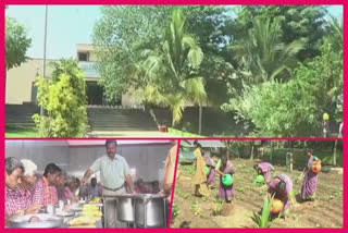 Destitutes become self-reliant..A green Gonoor story in karnataka chitradurda