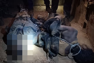 Maoist stoned to death in Odisha's Malkangiri