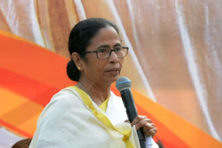 Mamata calls for 'protecting' Constitution