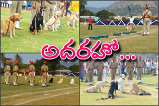 dog squad show in waltair