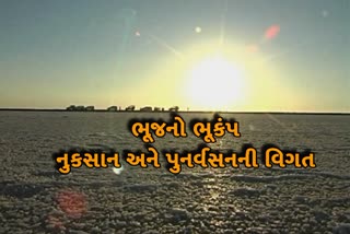 Losses in Kutch due to earthquake