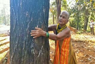 tulasi-gowda-got-padma-shree-award