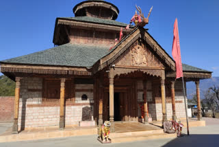 'Chindi Mata': A temple in Himachal mapped by ants