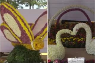 The Flower Show, which draws the public in the silk city