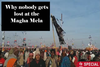 Why do devotees coming to the Magha Mela carry sticks in their hands?