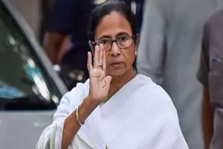 mamta banarji