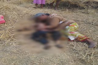 Two children died due to fire in a pile of straw in dumka
