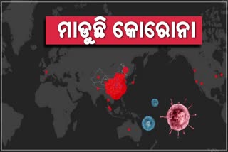 ଡିଜାଇନ ଫଟୋ