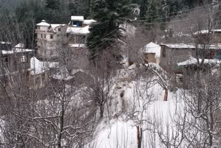 snowfall started in kinnaur