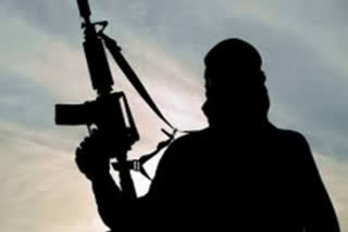 Lashkar-e-Taiba terrorist arrested