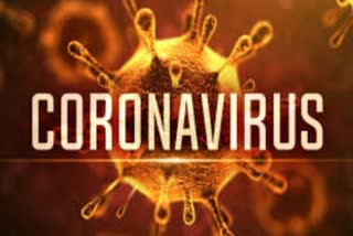 Corona virus symptoms and prevention methods Corona virus symptoms and prevention methods