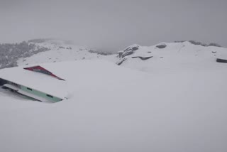 snowfall in churdhaar