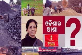 What odisha wants, export opinion on union budget 2020