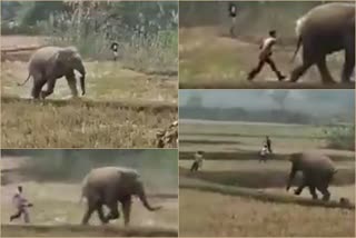 Man escapes after hitting innocent elephant