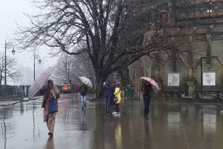 snowfall on ridge shimla