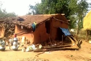 Wild elephants damaged homes in chaibasa
