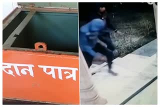 बाड़मेर की खबर,  steal money from donation box