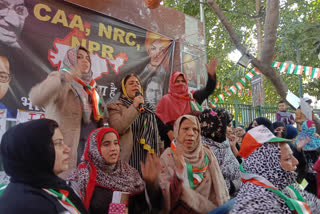 CAA and NRC Protest in Beri Wala Bagh