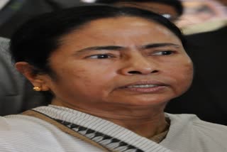 mamata