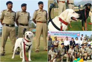 POLICE DOG WITH THE GO PRO CAMERA  റെയില്‍വേ സുരക്ഷാ സേന  ഡോഗ്‌ സ്‌ക്വാഡ് ക്യാമറ  പൊലീസ് നായ  ഈസ്റ്റ് കോസ്റ്റ് റെയിൽ‌വെ  ഗാര്‍ഡ് ആന്‍ഡ് ക്രൈം കണ്‍ട്രോൾ  വാൾത്തേഴ്‌സ് ഡിവിഷന്‍  ഗോ-പ്രോ ക്യാമറ