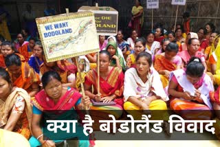 what is bodoland dispute