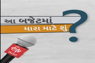 શું આ બજેટથી હીરાની ચમક પાછી આવશે?