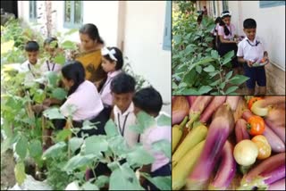 organic farming  kozhippili lp school  ജൈവ പച്ചക്കറി കൃഷി  ജൈവ പച്ചക്കറി കൃഷി  എറണാകുളം  എറണാകുളം കാര്‍ഷിക വാര്‍ത്തകള്‍