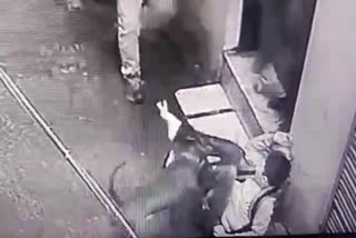 Jalandhar Pit bull attack on kid