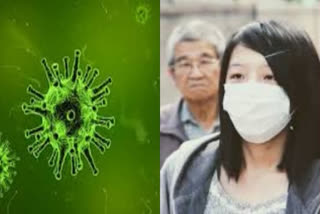 WHO chief says China virus evacuations not recommended: report