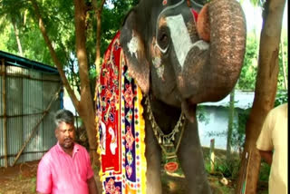 Tamil Nadu elephant  elephant plays mouth organ  rejuvenation camp  annual elephant rejuvenation camp  Tamil Nadu CM Jayalalithaa  Temple elephants  ആൻഡാൽ എന്ന ആന  ആനക്ക്യാമ്പിൽ അത്ഭുതമായി 'ആൻഡാൽ'  ആനക്ക്യാമ്പ്