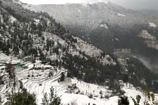 fresh snowfall in mandi