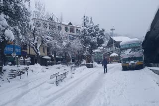 heavy snowfall in  kinnaur