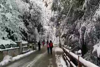 roads closed in himachal, हिमाचल में सड़कें बंद