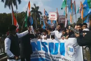 nsui