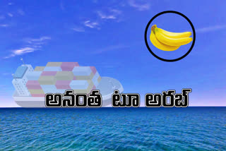 bananas-export-to-arab-countries-from-ananthapuram-districts