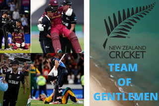 Mohammad Kaif, New Zealand, Spirit of Cricket