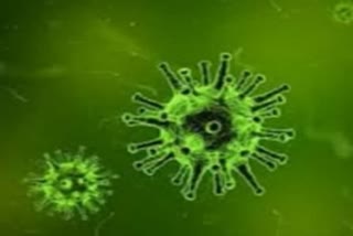 one-positive-case-of-novel-coronavirus in-kerala