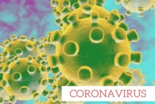 corona Virus, கொரோனா வைரஸ்