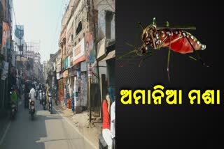 mosquito tension in cuttack