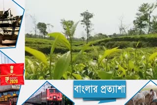 Special dedicated package for tea industry in North Bengal